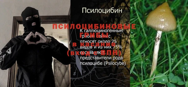 героин Корсаков